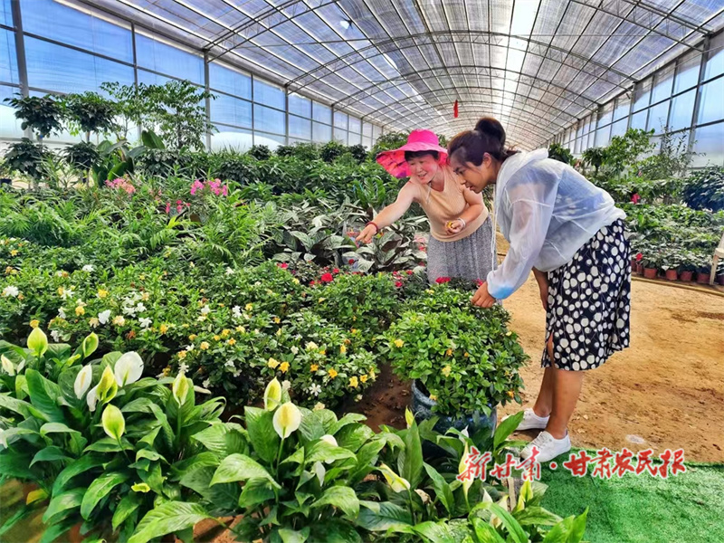 陈静：幸福像花儿一样