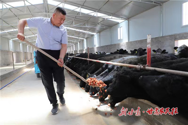 曹湛彬：奔跑在生态农业路上