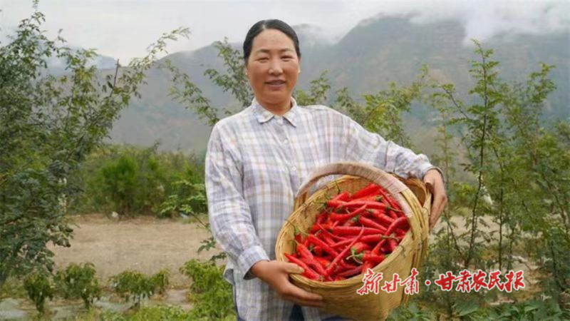 武都：&ldquo;双椒&rdquo;合璧 &ldquo;麻辣&rdquo;升级