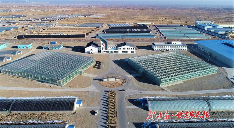 肃州区：开创种业&ldquo;芯&rdquo;未来 跑出振兴加速度