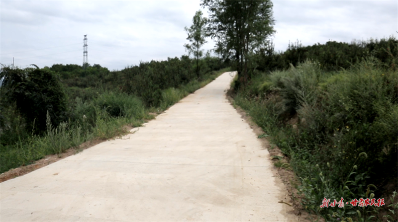 麦积区伯阳镇：乡村振兴 道路先行