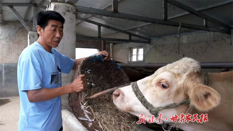 灵台：牛产业让乡村振兴有&ldquo;犇&rdquo;头