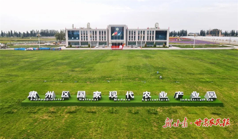 肃州区：擦亮种业&ldquo;金字招牌&rdquo; 绘出乡村振兴&ldquo;缤纷画卷&rdquo;