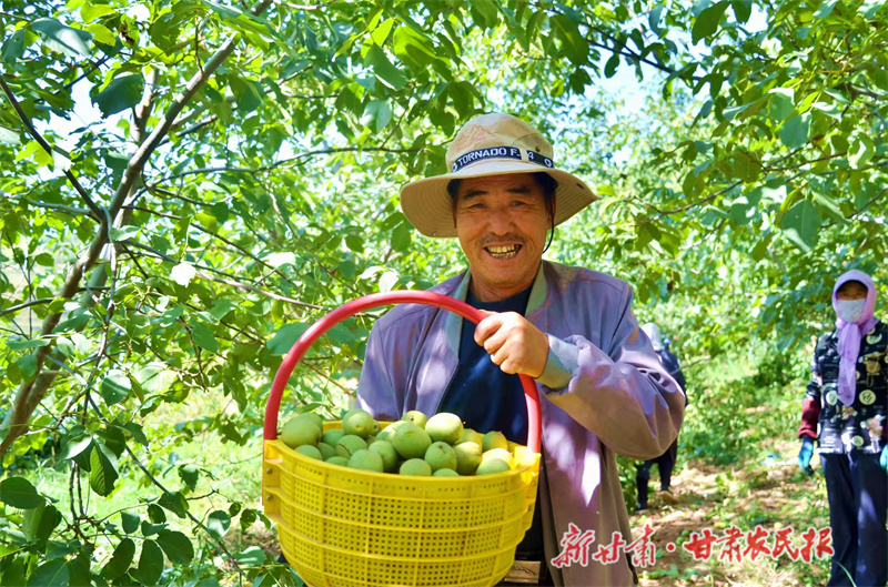 崇信  经济林里结出&ldquo;致富果&rdquo;