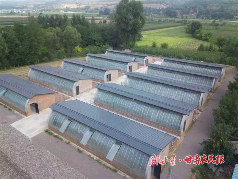 灵台：强产业有&ldquo;牛&rdquo;招