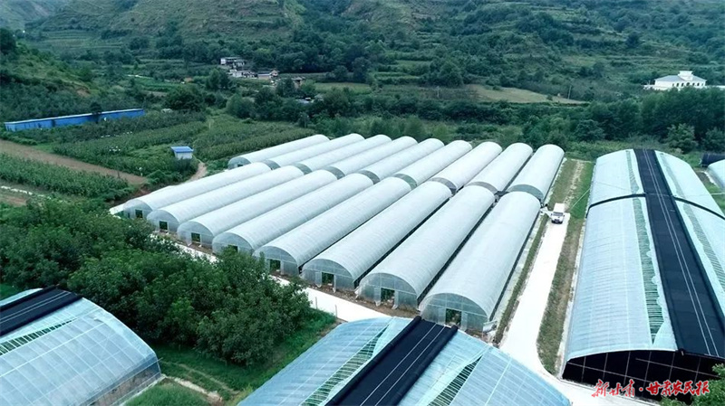 麦积区麦积镇：凝心聚力谋发展 产业兴旺助振兴