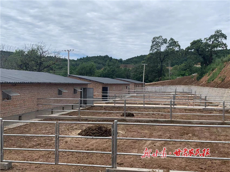 崇信县：住上新房子，过上&ldquo;牛&rdquo;日子
