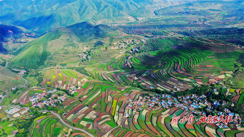 马坡乡千亩梯田