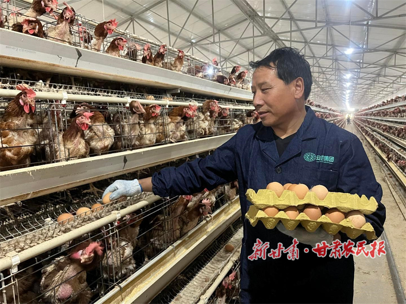 石玉祥：养鸡&ldquo;啄&rdquo;开致富门