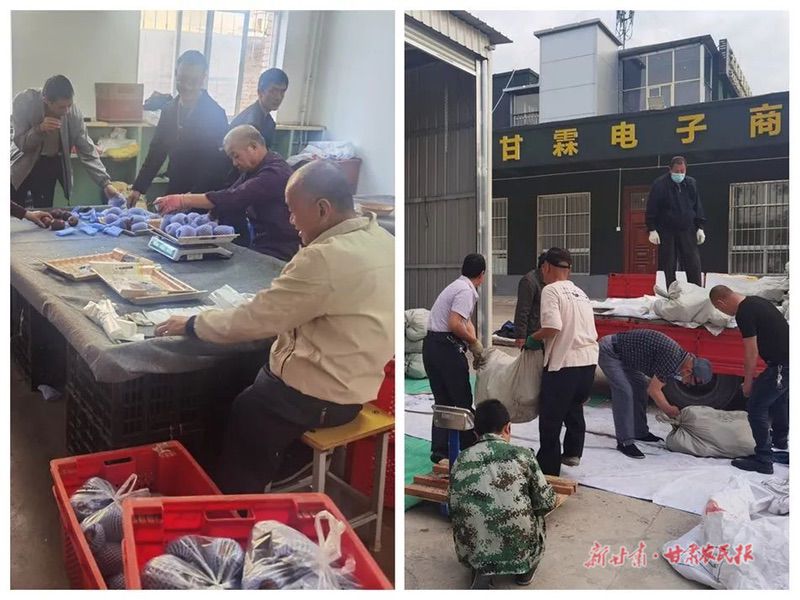 麦积区:多措并举 筑牢残疾人生活屏障