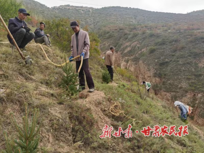 静宁：植树造林绿化家园正当时