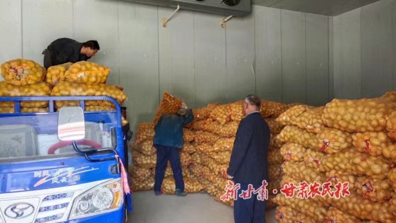 一株马铃薯原原种的培育和出走 ----静宁县红寺镇马铃薯全产业链建设侧记