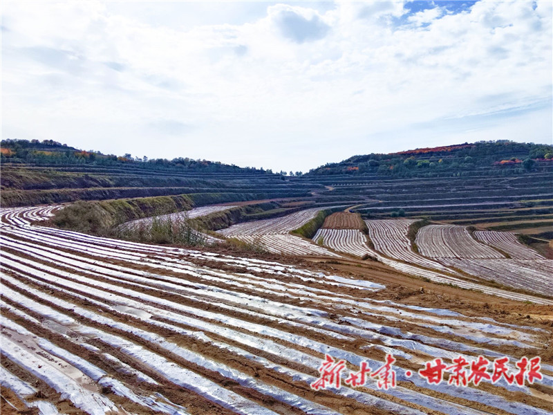 静宁：希望的田野铺就&ldquo;致富膜&rdquo;
