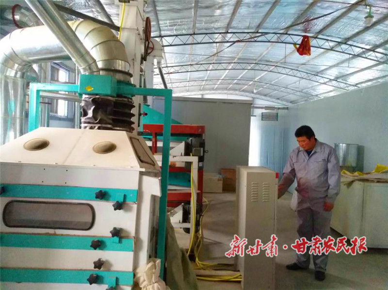 崇信：杂粮丰收好&ldquo;钱景&rdquo;