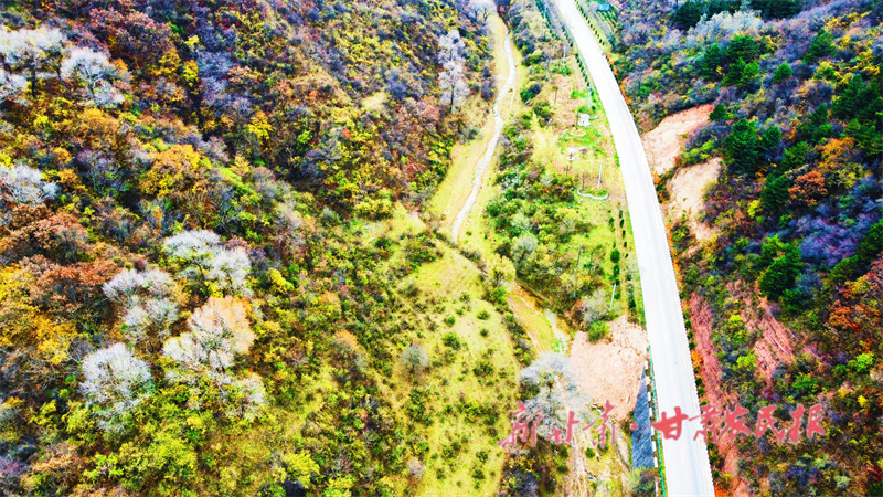 崇信：秋风秋景秋意浓 绚烂秋色惹人醉