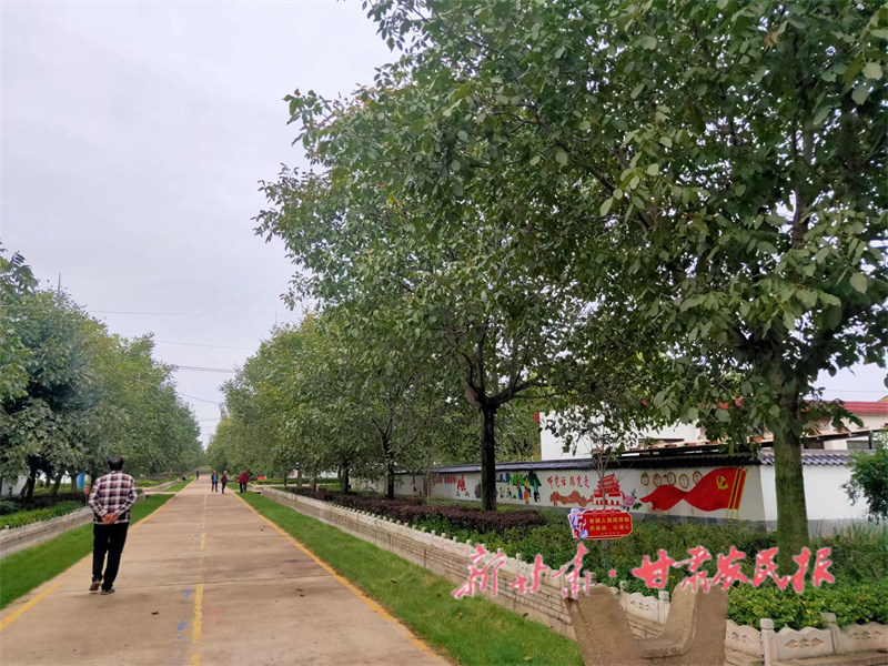 崇信： 整治环境靓乡村