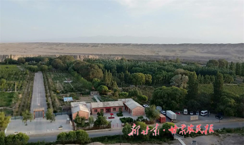 观蘑菇台遗址有感