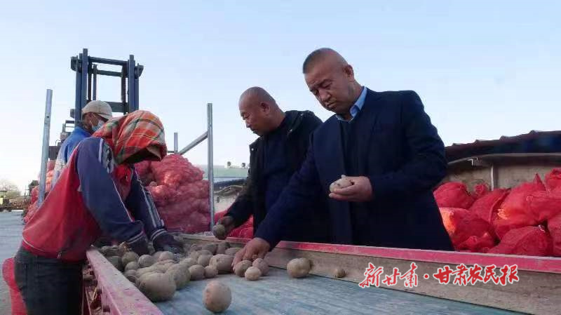 一样的田野 不一样的农民&mdash;&mdash;职业农民梁正明的土豆经