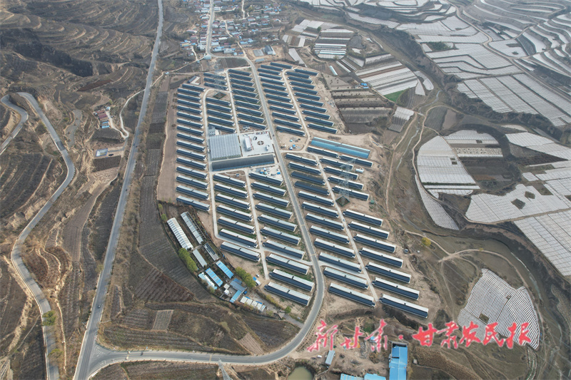 静宁：小小&ldquo;菜篮子&rdquo;鼓起群众的&ldquo;钱袋子&rdquo;