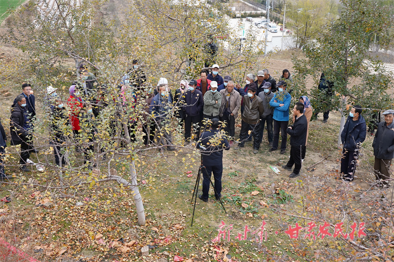静宁：果园冬季管理忙 提质增效有保障