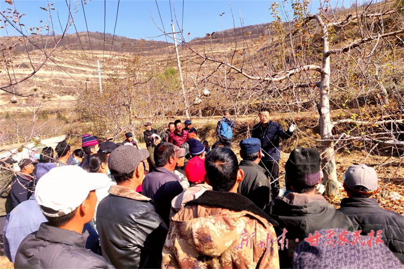 静宁：冬闲时节&ldquo;充电&rdquo;忙