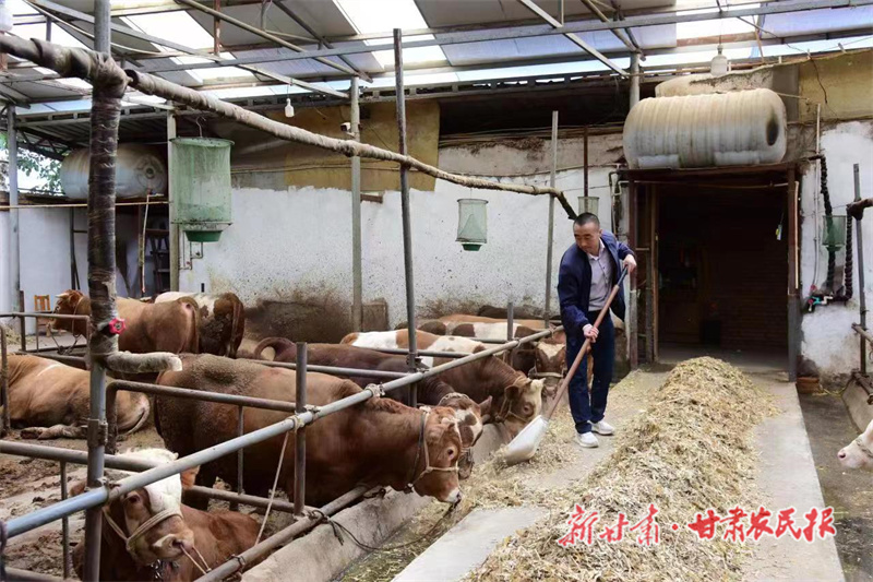 养殖示范户巨小龙的创业路