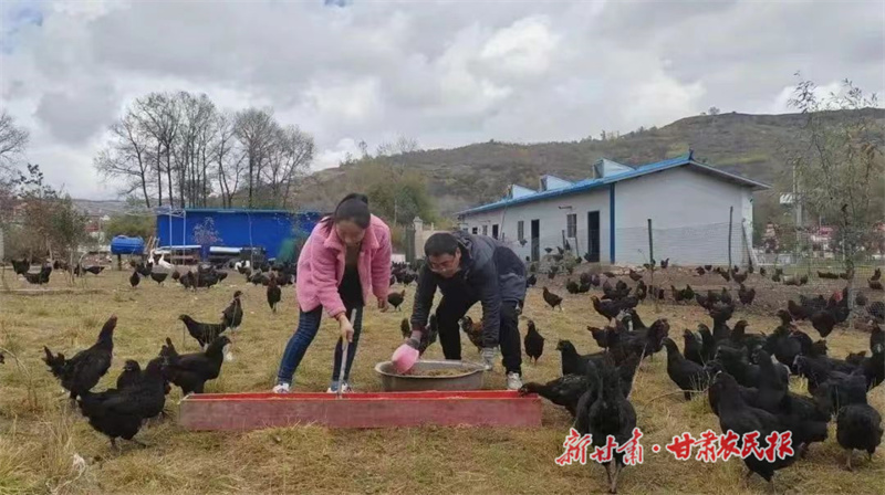 &ldquo;鸡司令&rdquo;李萍的致富梦