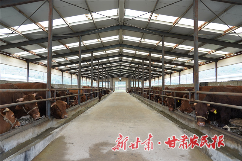 静宁：金融&ldquo;活水&rdquo;助力产业强县域