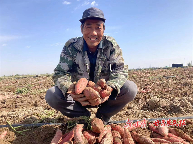 民勤县：特色产业&ldquo;好钱景&rdquo;