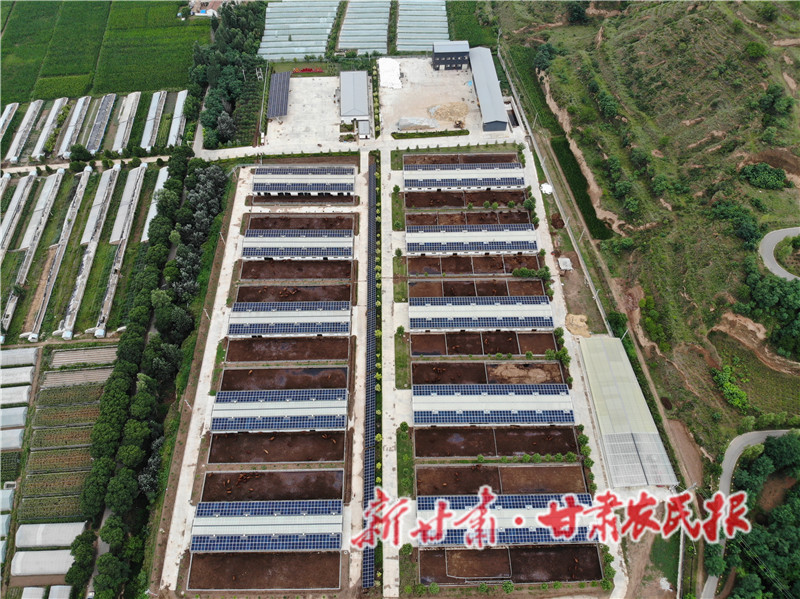 崇信：打造牛棚上的&ldquo;牧光经济&rdquo;