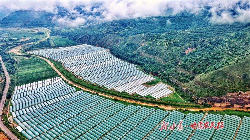 西峰区：特色产业富民兴村