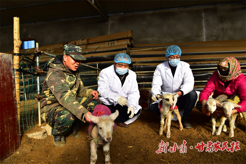 借牧点来了&ldquo;守护神&rdquo;