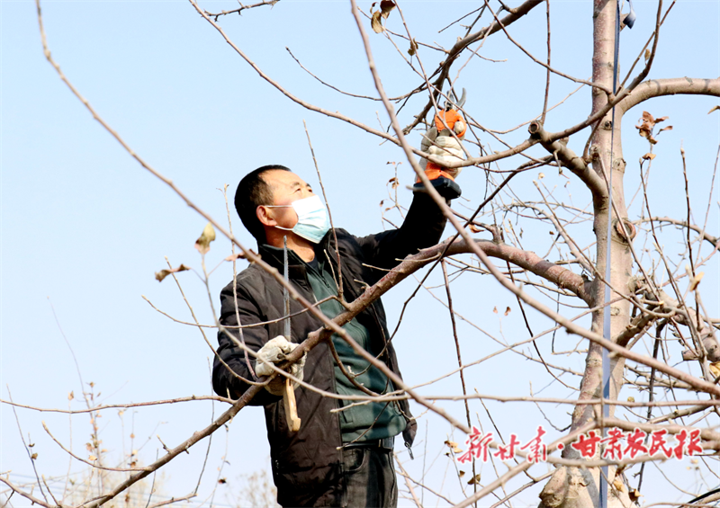 杨学乾：多元化产业辟富路
