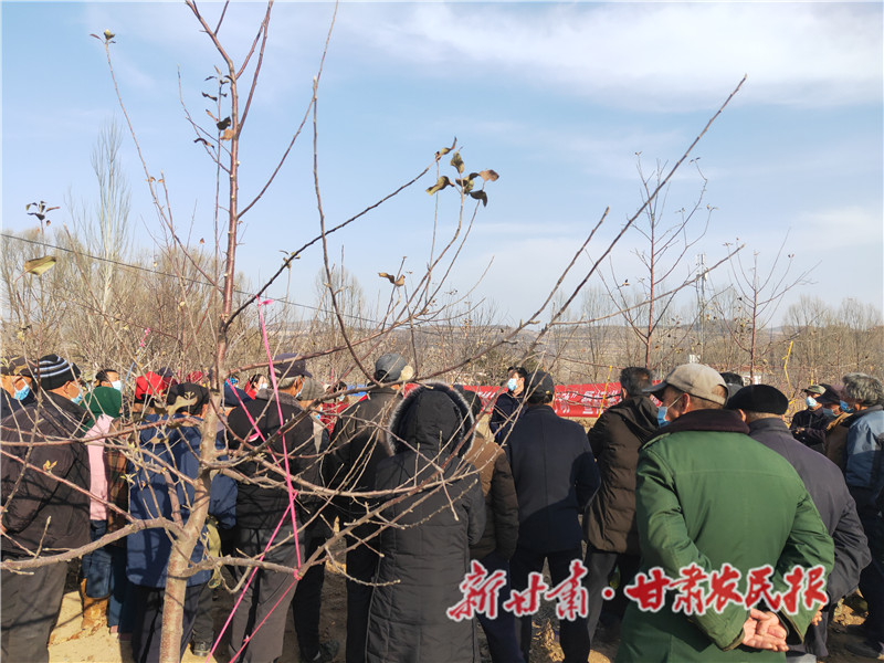 静宁：&ldquo;因园施策&rdquo;冬管忙