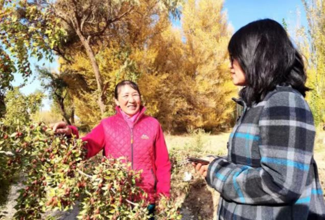 雒金梅：巾帼创业&ldquo;枣&rdquo;来到