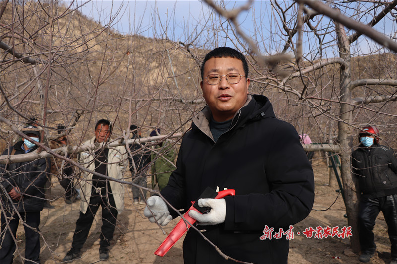 静宁：果农&ldquo;挑战&rdquo;技术员 &ldquo;挑战&rdquo;变&ldquo;双赢&rdquo;