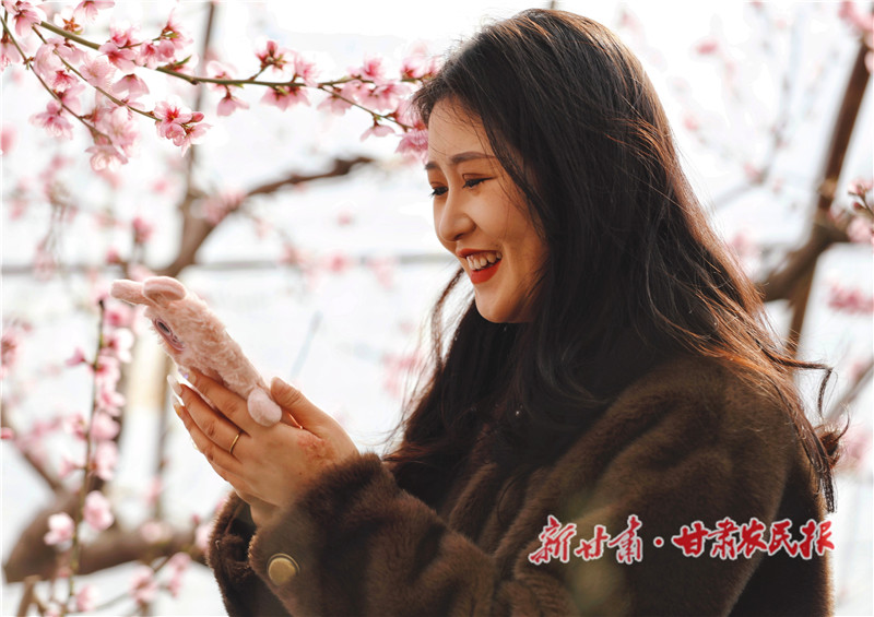 静宁：人勤春来早 桃花授粉忙