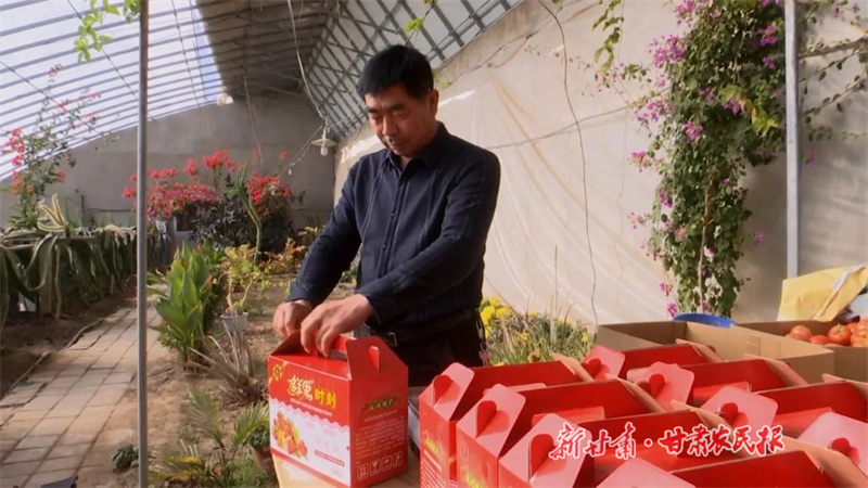 瓜州：大棚里忙出&ldquo;幸福年&rdquo;
