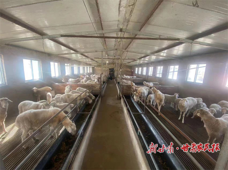 杨连军：念好&ldquo;羊经&rdquo;奔富路