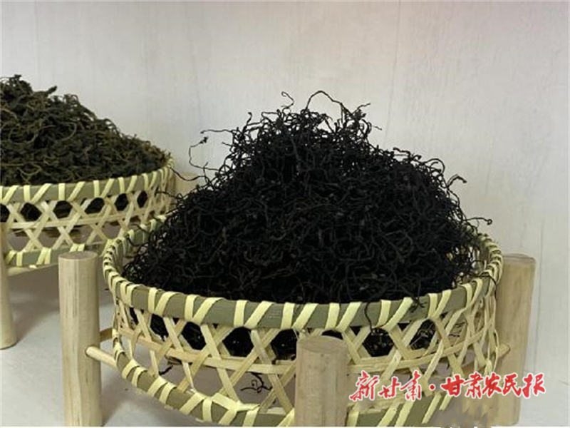 两当 绘就乡村振兴新画卷
