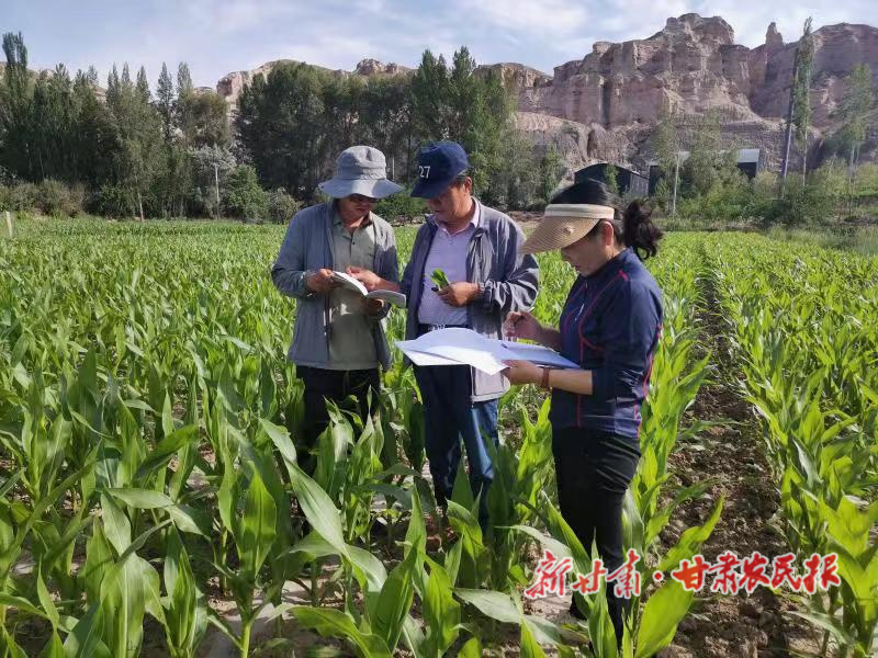 白晓艳：&ldquo;小身板&rdquo;折射出科技惠民&ldquo;大背影&rdquo;