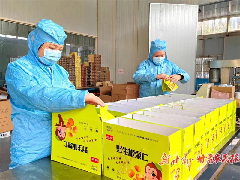 康县：板栗飘香话振兴
