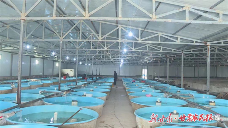 景泰：春光无限好 水上&ldquo;春耕&rdquo;忙