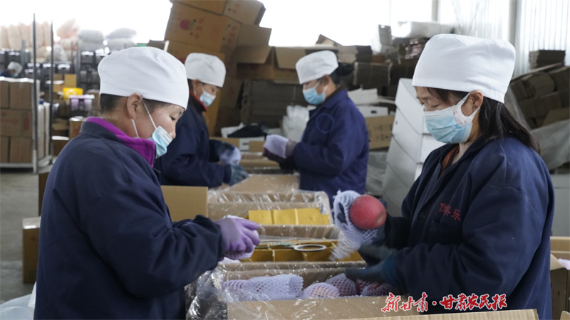 静宁：不负春光 全力以&ldquo;复&rdquo;