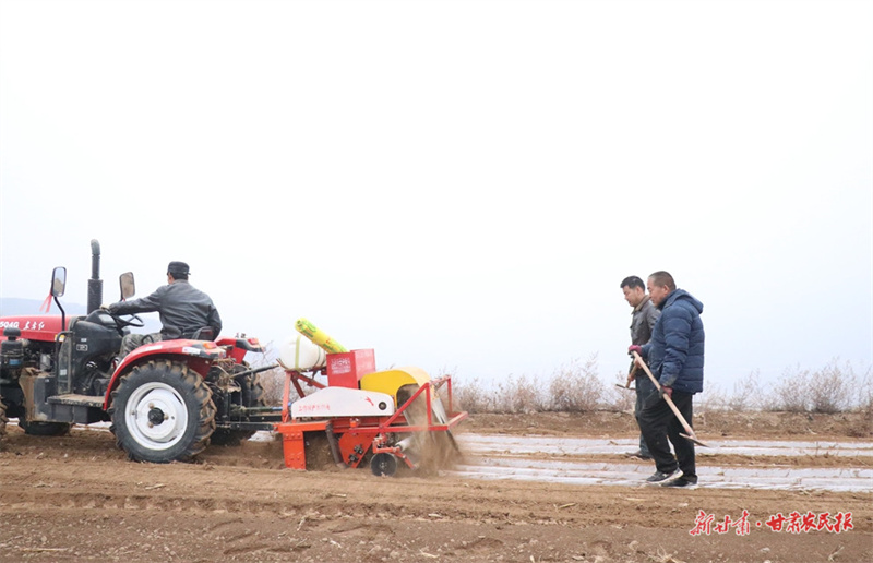 甘谷：万象“耕”新不负春 春耕备耕覆膜忙