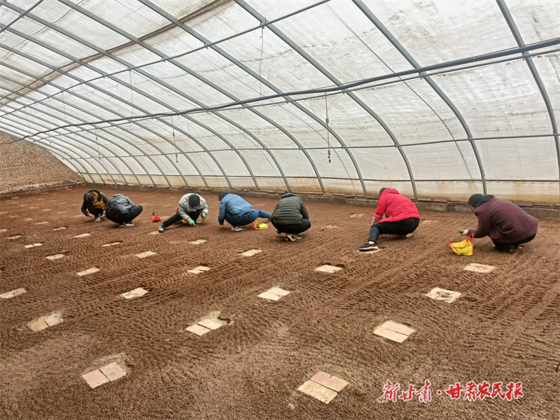 静宁：选好种子育好苗  抢抓农时不误春