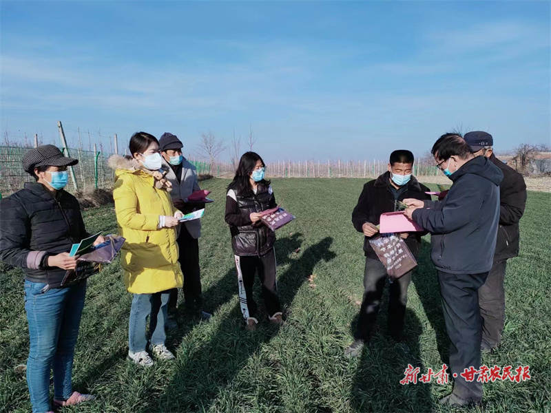 崇信：&ldquo;农&rdquo;墨重彩在沃野