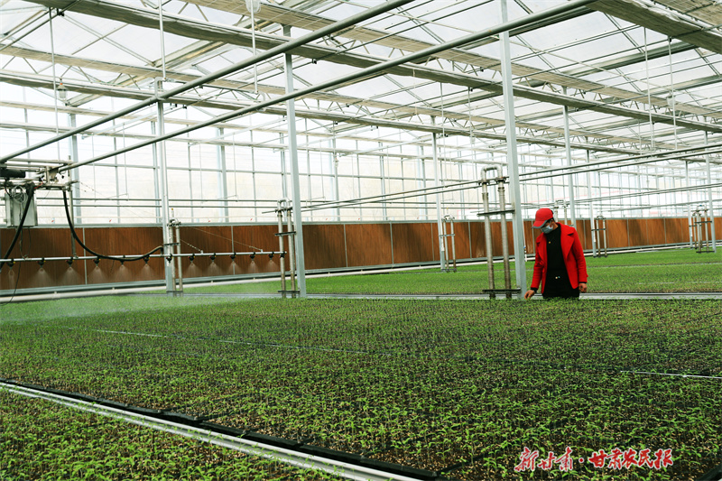 崇信：大棚春来早 人勤&ldquo;地生金&rdquo;