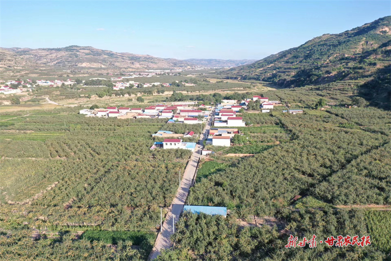 静宁：立足&ldquo;三抓三促&rdquo; 保春耕促生产