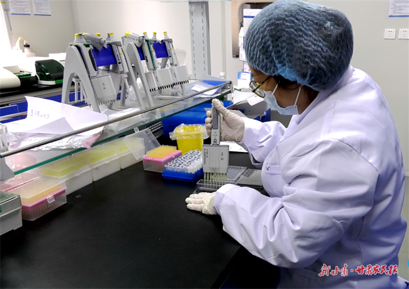 麦积区畜牧中心：以&ldquo;三抓三促&rdquo;行动助推畜牧业发展再上新台阶